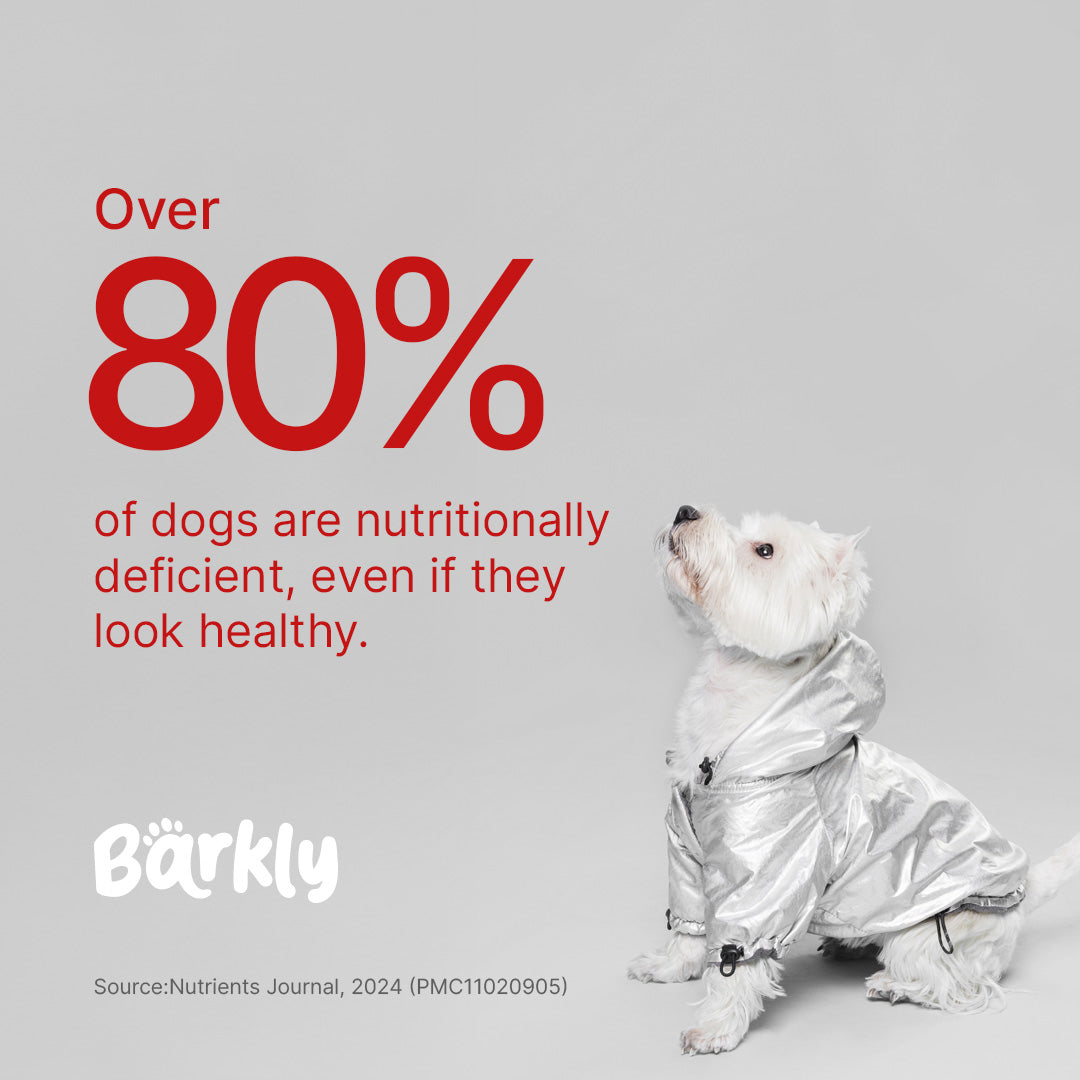 Barkly Multivitamin Daily Meal Topper for Dogs