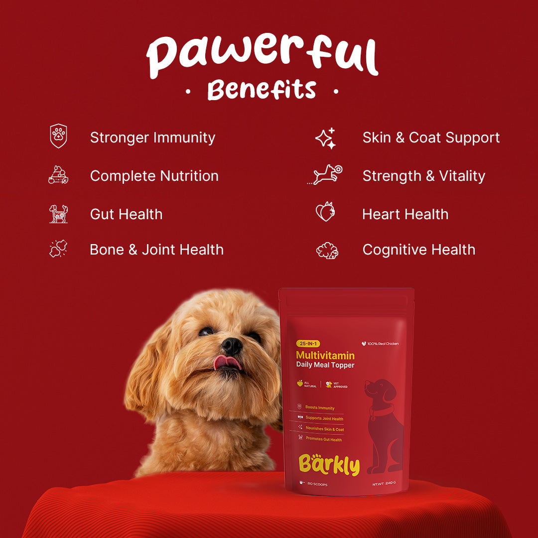 Barkly Multivitamin Daily Meal Topper for Dogs