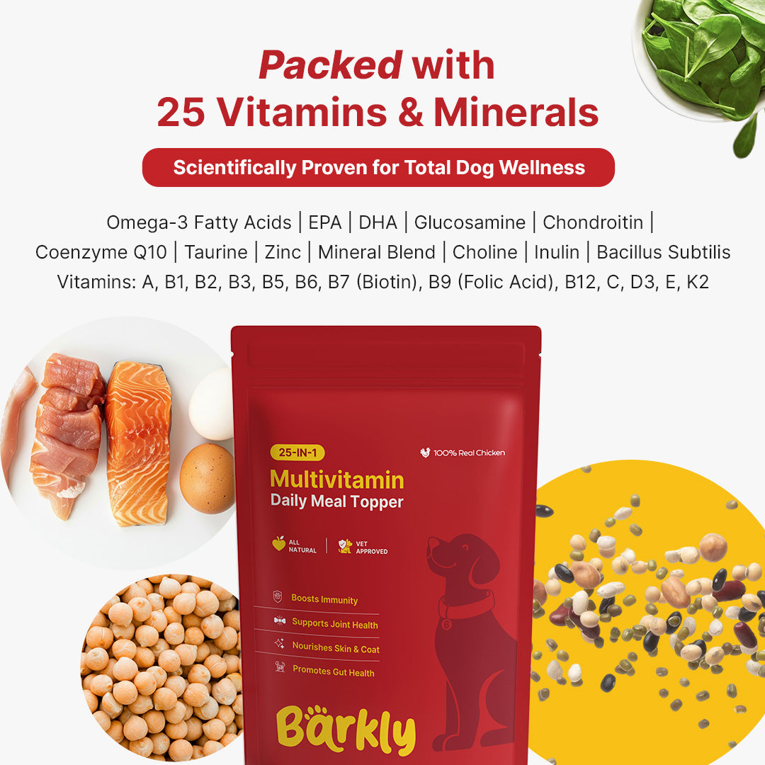 Barkly Multivitamin Daily Meal Topper for Dogs